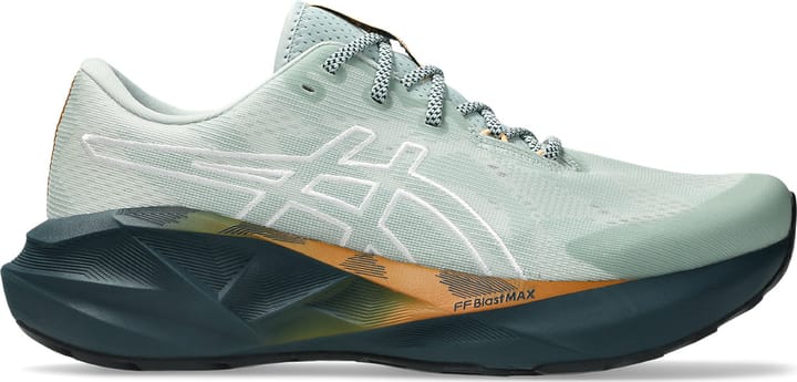 Asics Men's Novablast 5 TR Nature Bathing/Lichen Rock Asics