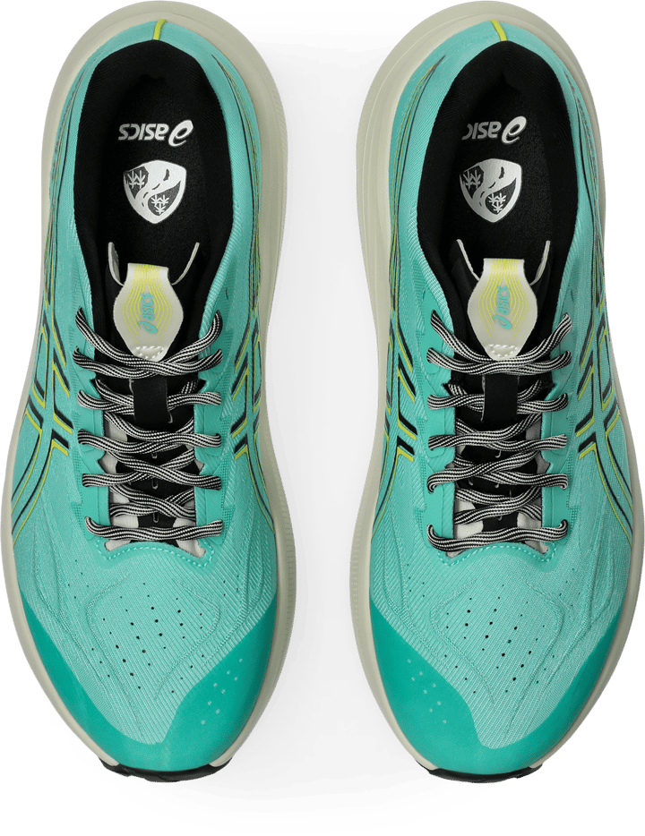Asics Men's GT-2000 14 TR Aurora Green/Cacti Asics