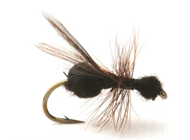 Guideline Flying Ant Guideline
