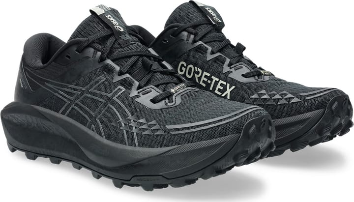 Asics Women's GEL-Trabuco 13 GORE-TEX Black/Graphite Grey Asics