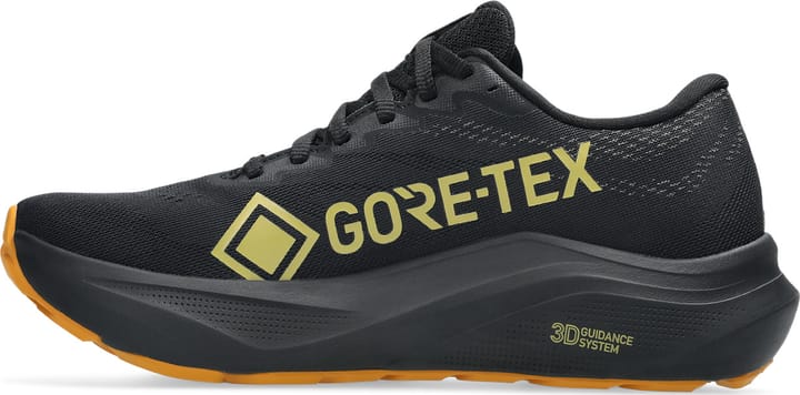 Asics Women's GT-2000 14 GORE-TEX Black/Vanilla Asics
