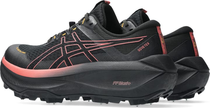 Asics Women's Fujisetsu Max GORE-TEX Black/Dark Pink Clay Asics