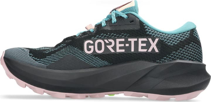 Asics Women's Trabuco 14 GORE-TEX Black/Morganite Asics