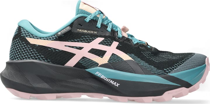 Asics Women's Trabuco 14 GORE-TEX Black/Morganite Asics