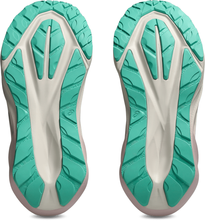 Asics Women's Novablast 5 TR Light Dust/Cacti Asics