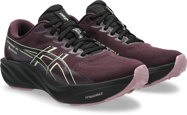Asics Women´s Gt-2000 15 GORE-TEX Dark Aubergine/black Asics
