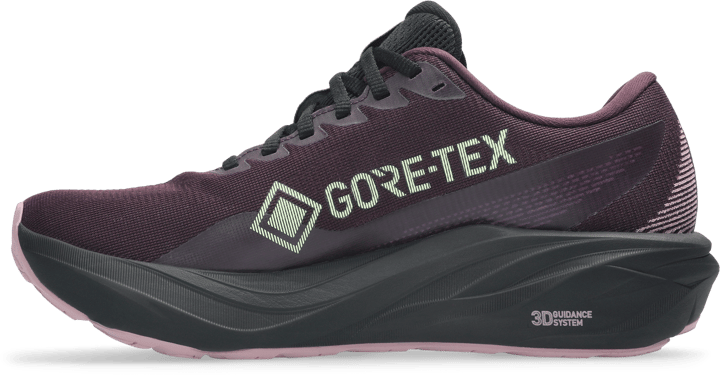 Asics Women´s Gt-2000 15 GORE-TEX Dark Aubergine/black Asics