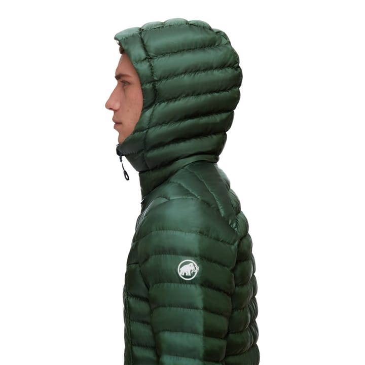 Mammut Albula IN Hooded Jacket Men Woods Mammut