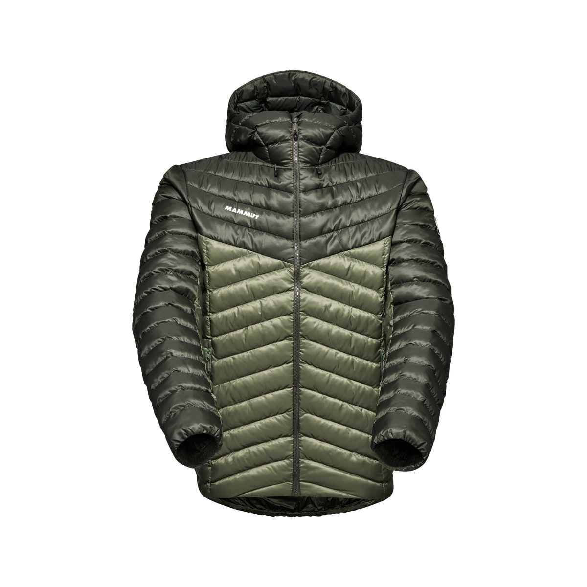 Mammut Albula In Hooded Jacket Men Marsh-dark Marsh