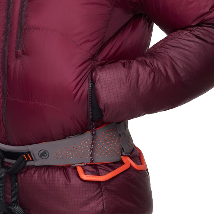 Mammut Men's Taiss Pro Belay IN Hooded Jacket Vin Mammut