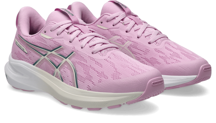 Asics Kids' GT-1000 14 GS Hazy Lilac/rose Dust Asics