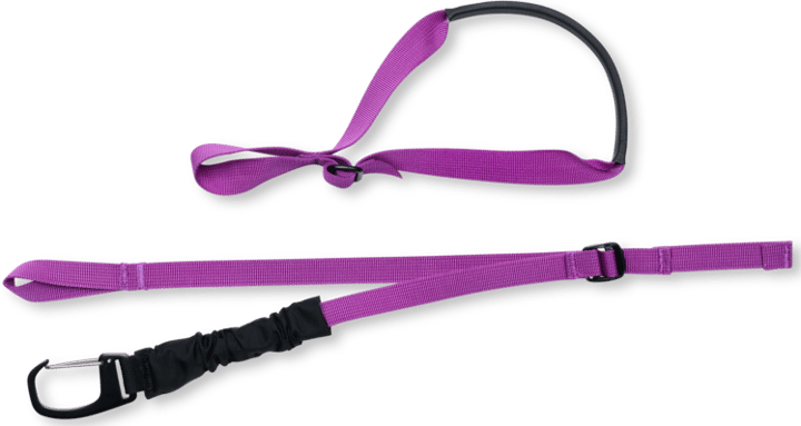Black Diamond Ski Carry Kit With Clip Piton Purple Black Diamond