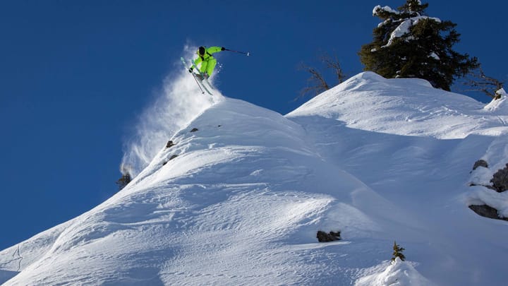 Black Crows Atris Turquoise Black Crows