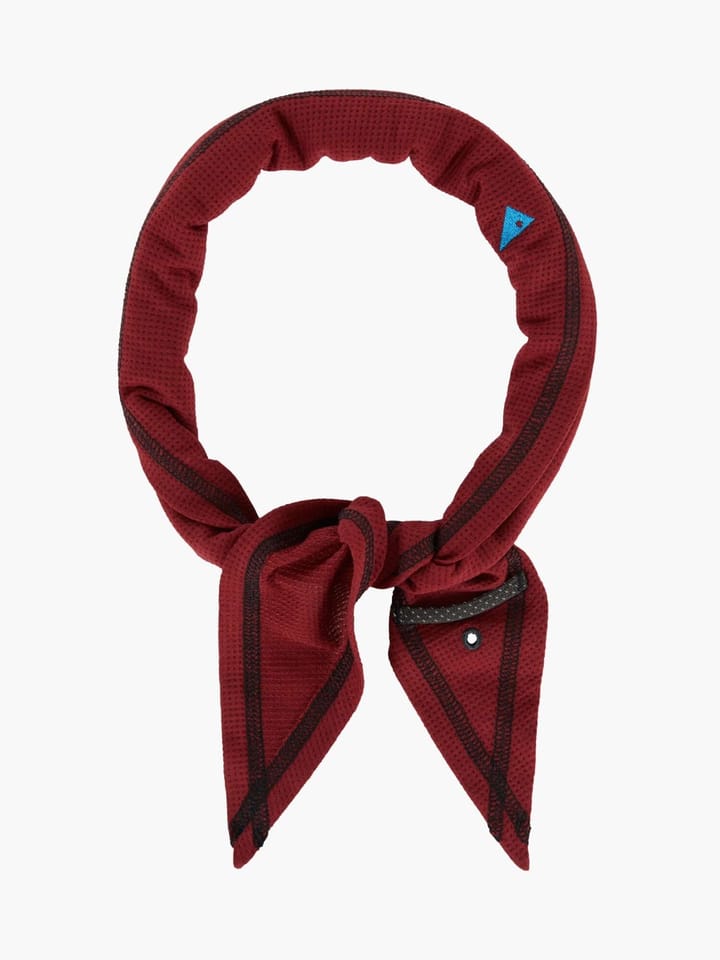 Klättermusen Allvis Scarf Ruby Red Klättermusen