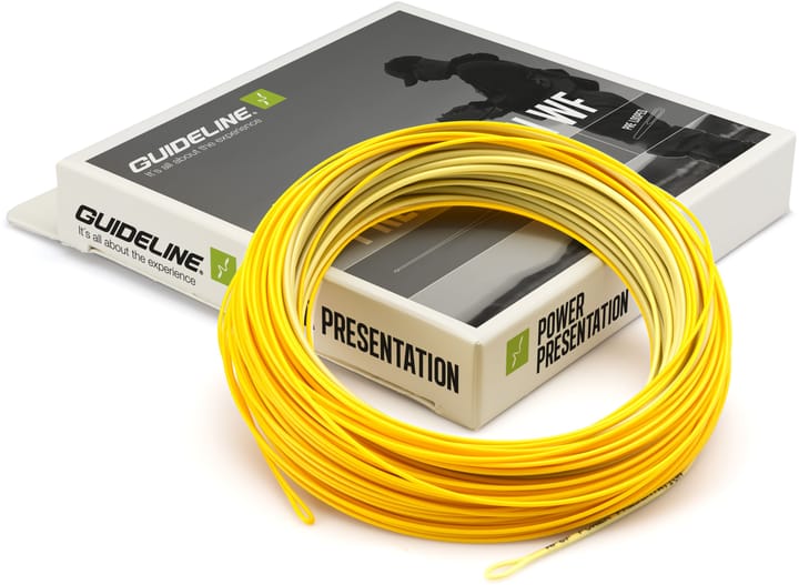 Guideline Guideline Power Presentation Guideline