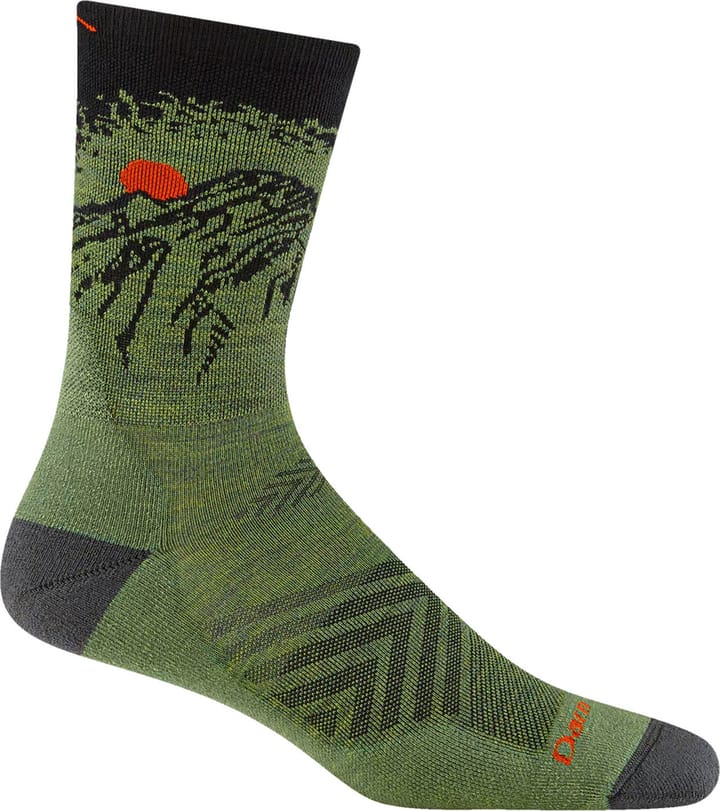 Darn Tough Men's Vert Micro Crew Ultra-Lightweight With Cushion Lichen Darn Tough