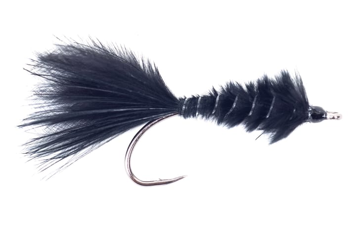 Guideline Guideline Killer Worm Black Guideline Guideline Guideline Killer Worm Black Guideline