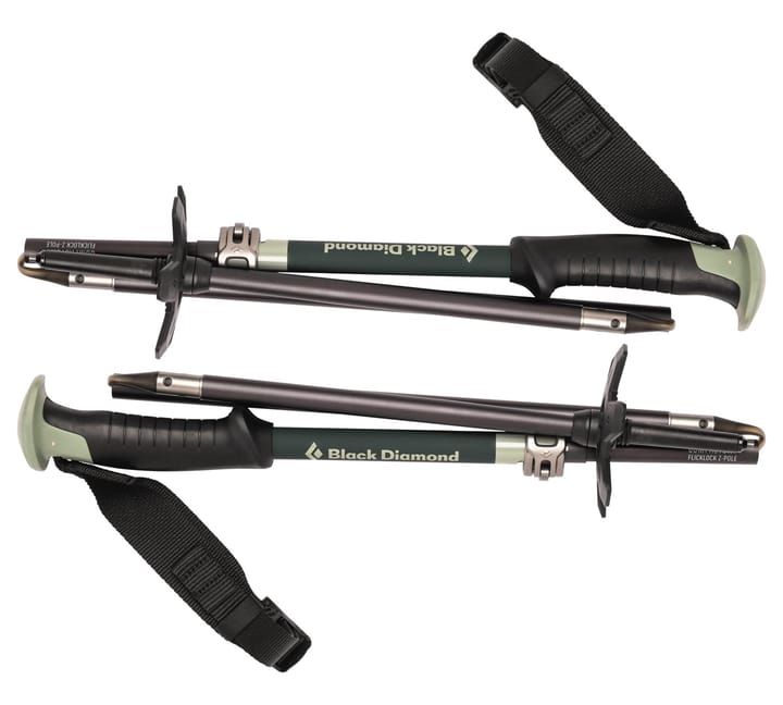 Black Diamond Compactor Ski Poles Nocolour Black Diamond Black Diamond Compactor Ski Poles Nocolour Black Diamond