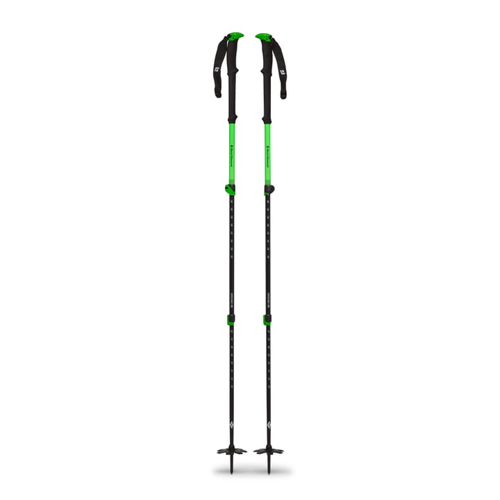 Black Diamond Expedition Wr 3 Ski Poles Black Diamond