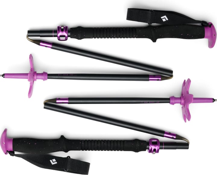 Black Diamond Men's Expedition Ski Poles Piton Purple Black Diamond