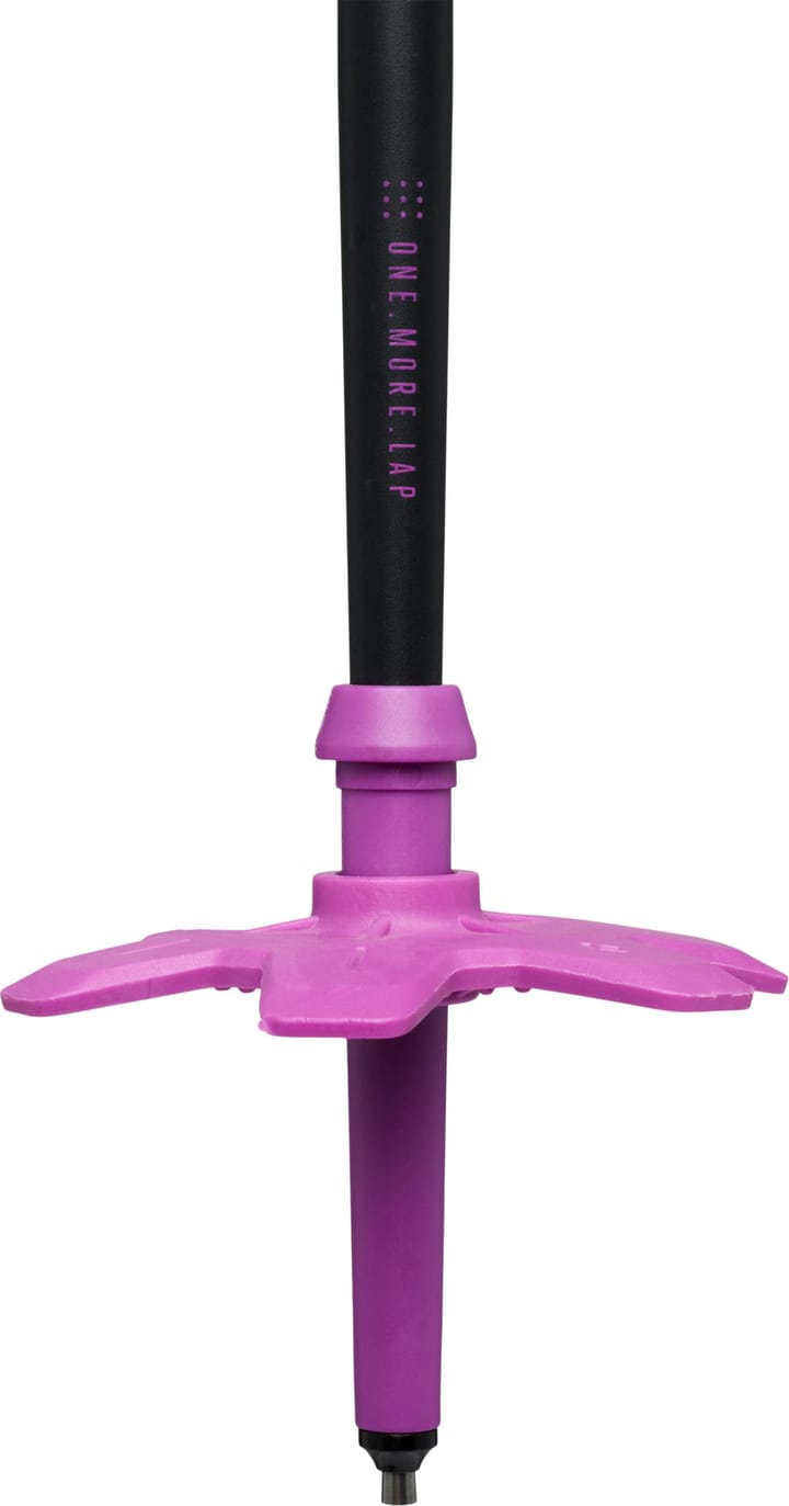 Black Diamond Men's Expedition Ski Poles Piton Purple Black Diamond