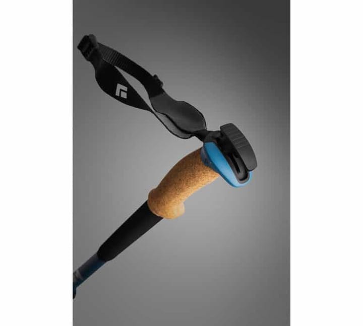 Black Diamond Alpine Carbon Cork WR Trekking Poles Astral Blue Black Diamond