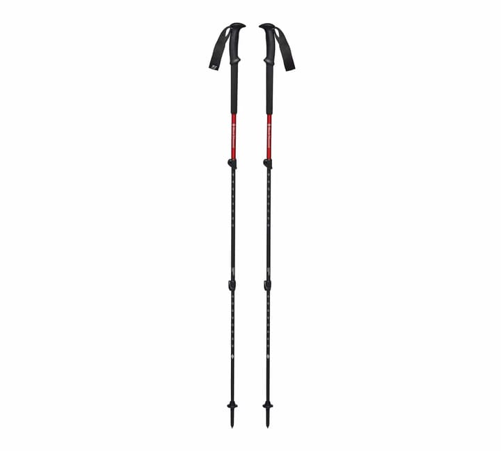 Black Diamond Trail Back Trekking Poles Octane Black Diamond Black Diamond Trail Back Trekking Poles Octane Black Diamond