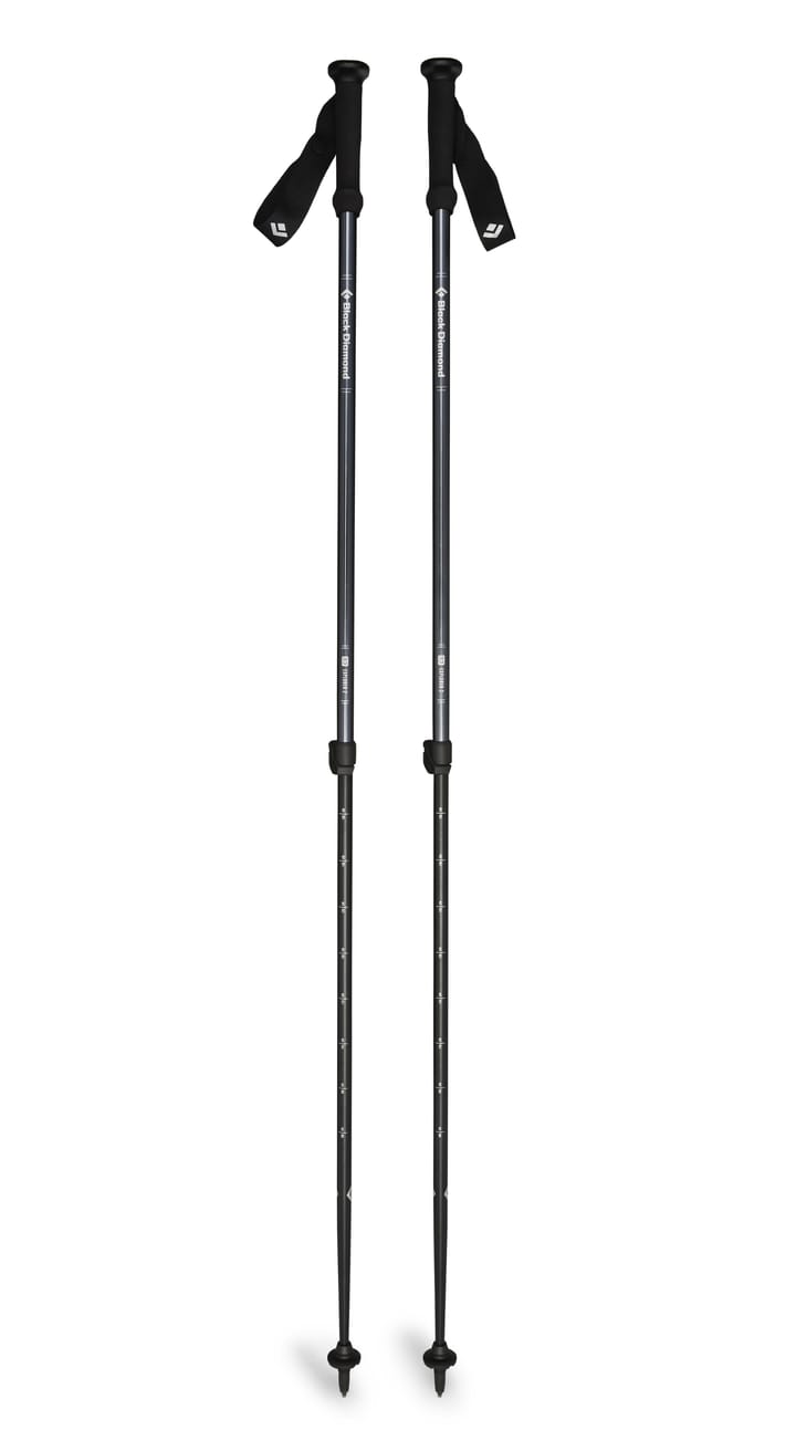 Black Diamond Unisex Explorer 2 Trekking Poles Ink Blue Black Diamond