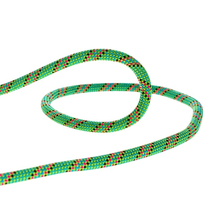 Beal Tiger 10mm Dry Cover Green Beal