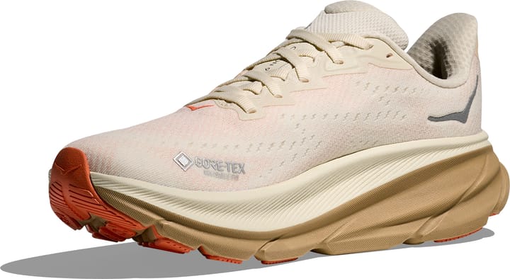 Hoka Men's Anacapa 2 Low GORE-TEX Washed Blue / Mineral Blue Hoka