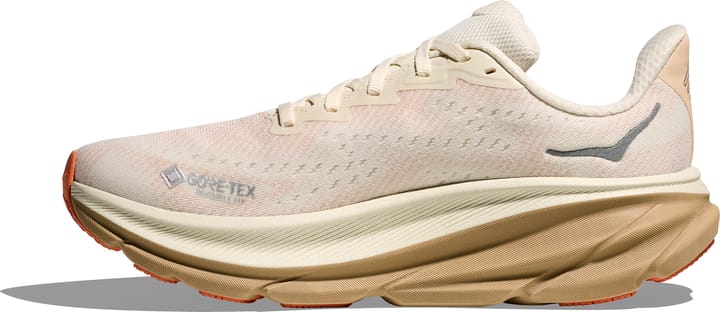 Hoka Men's Anacapa 2 Low GORE-TEX Washed Blue / Mineral Blue Hoka