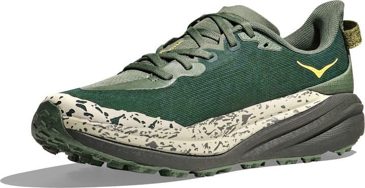 Hoka Men's Speedgoat 6 Fern/Asphalt Grey Hoka
