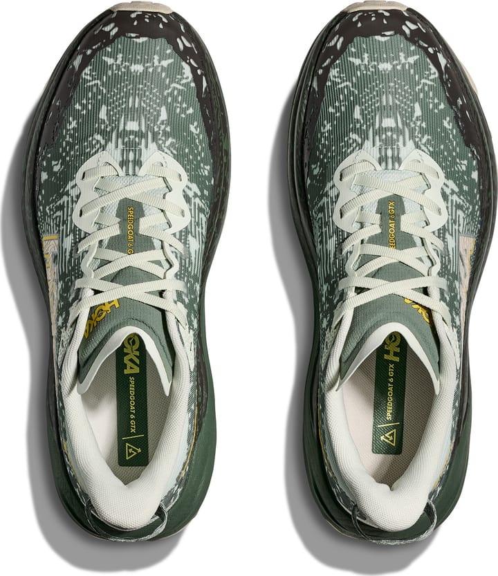 Hoka Men's Speedgoat 6 GORE-TEX Sea Glass/Fern Hoka