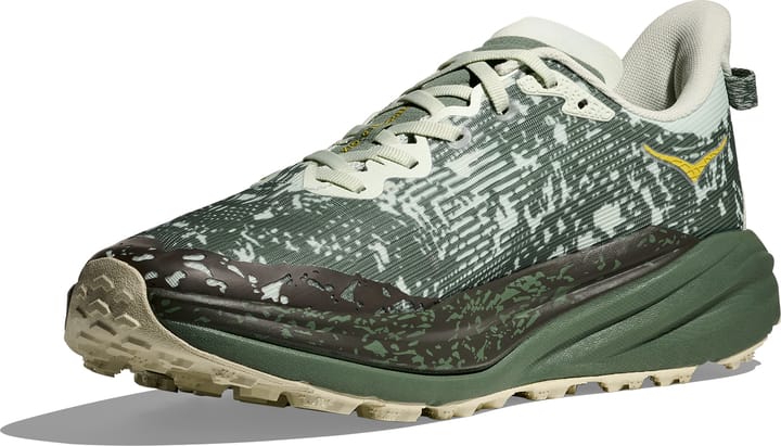 Hoka Men's Speedgoat 6 GORE-TEX Sea Glass/Fern Hoka