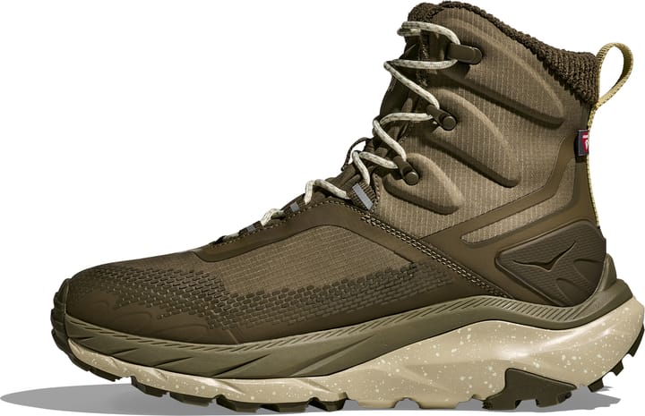 Hoka Men's Kaha 2 Frost GORE-TEX Antique Olive/Oyster Mushroom Hoka