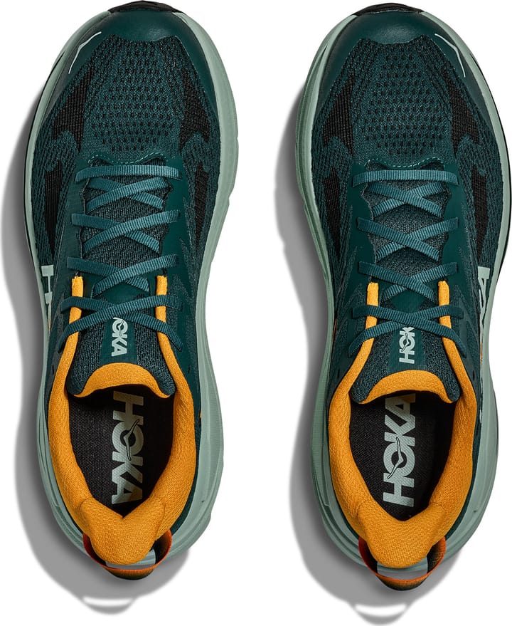 Hoka Men's Challenger 8 Bay Leaf/Sage Hoka