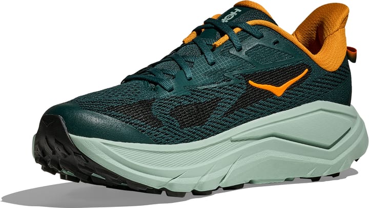 Hoka Men's Challenger 8 Bay Leaf/Sage Hoka