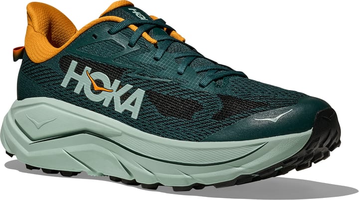 Hoka Men's Challenger 8 Bay Leaf/Sage Hoka