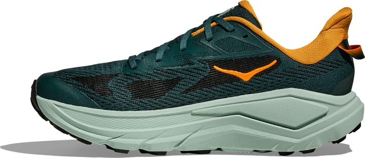 Hoka Men's Challenger 8 Bay Leaf/Sage Hoka