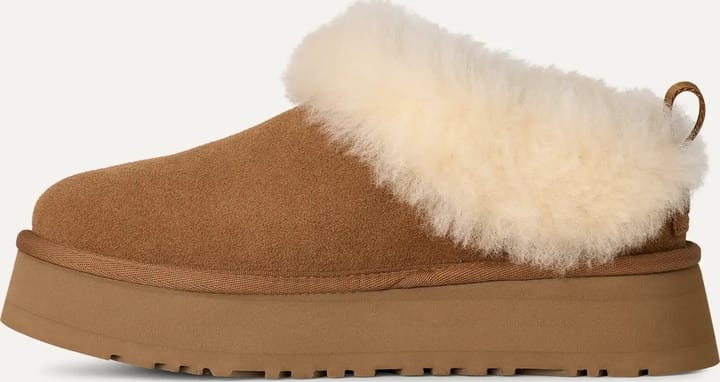 UGG Women's Tazzelle Chestnut UGG UGG Women's Tazzelle Chestnut UGG