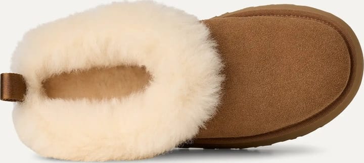 UGG Women's Tazzelle Chestnut UGG UGG Women's Tazzelle Chestnut UGG
