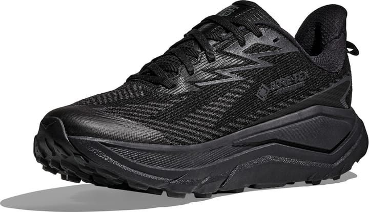 Hoka Men's Challenger 8 GORE-TEX Black/Carbon Black Hoka