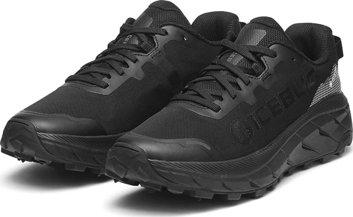 Icebug Women's Arcus 2 BUGrip GORE-TEX Trueblack Icebug