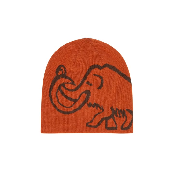 Mammut Logo Beanie Reversible Autumn Larice-soil Mammut