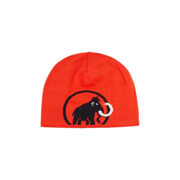 Mammut Mammut Logo Beanie Black Mammut