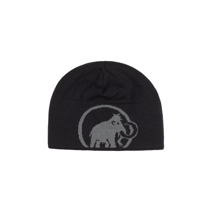 Mammut Mammut Logo Beanie Steel-black Mammut