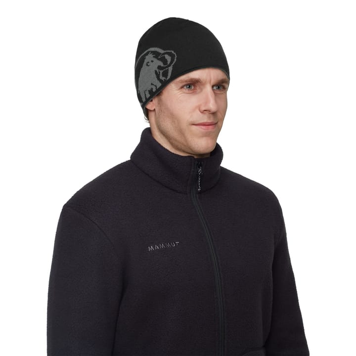 Mammut Mammut Logo Beanie Steel-black Mammut