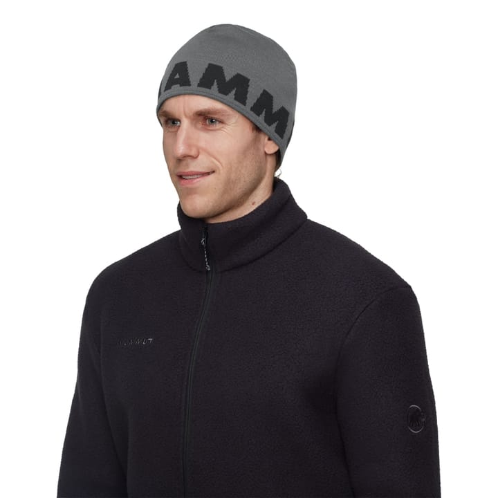 Mammut Mammut Logo Beanie Steel-black Mammut