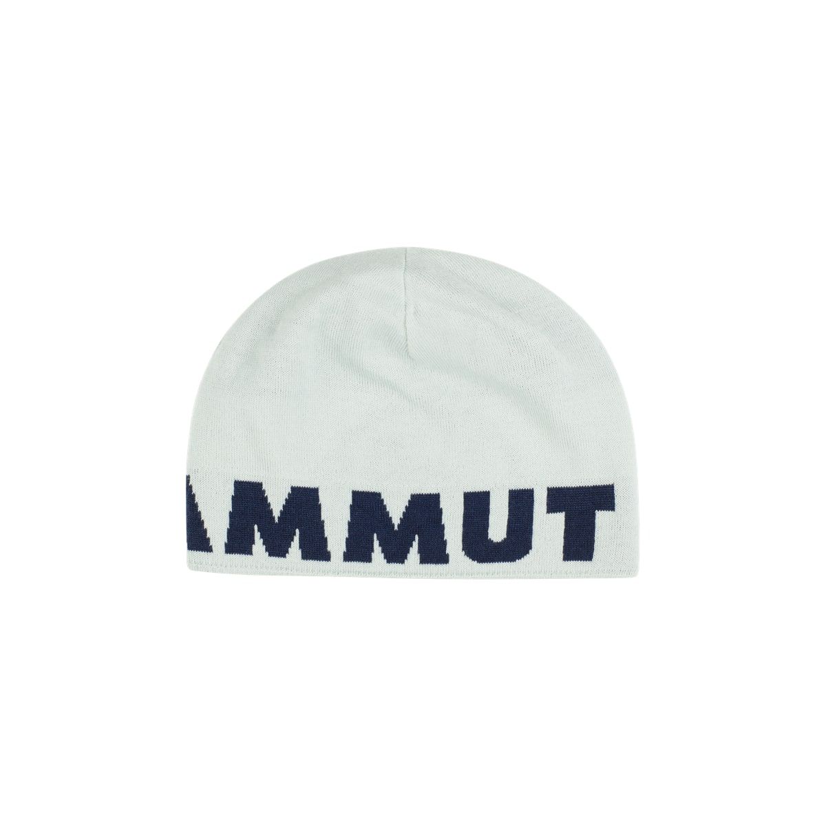 Mammut Mammut Logo Beanie Silver Sage-marine