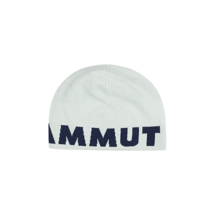 Mammut Mammut Logo Beanie Silver Sage-marine Mammut